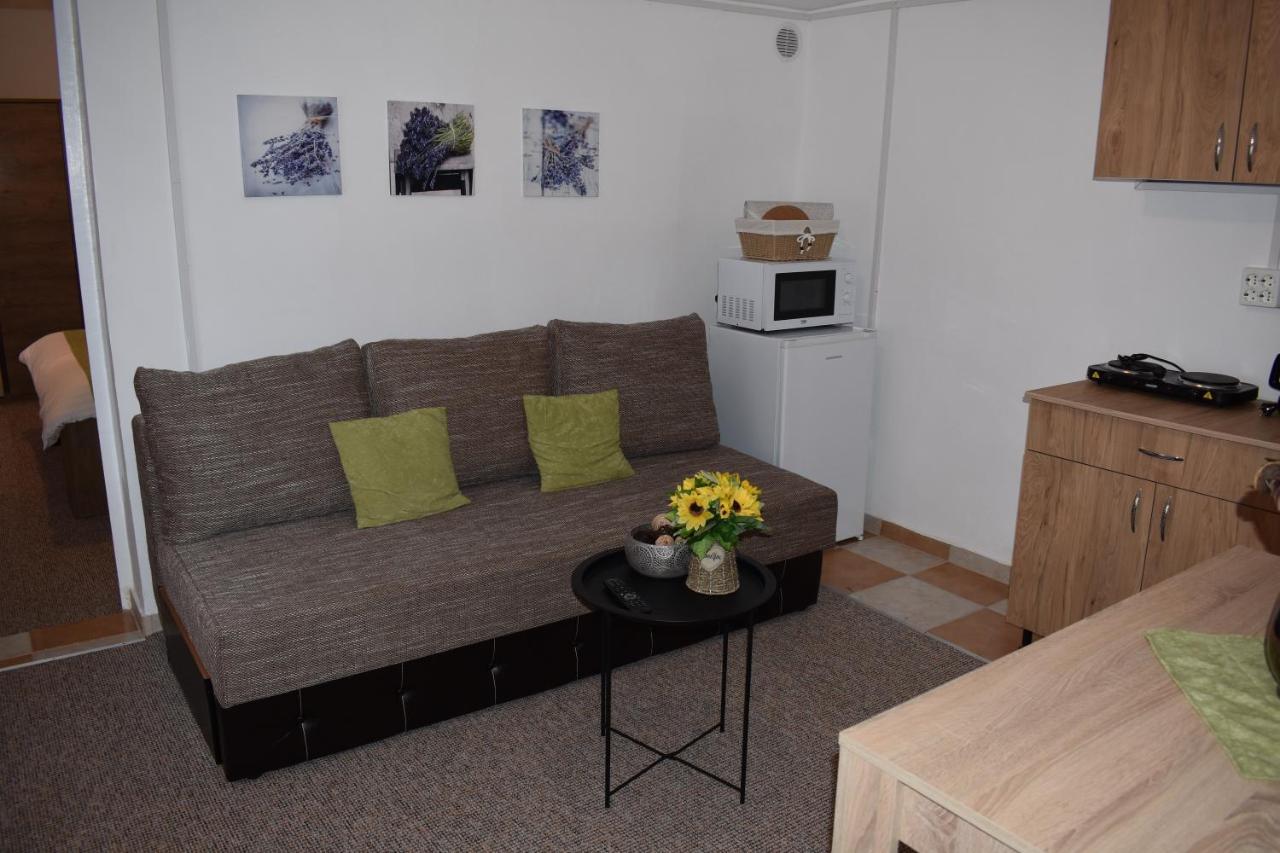 Apartament Zimbru Клуж-Напока Екстериор снимка