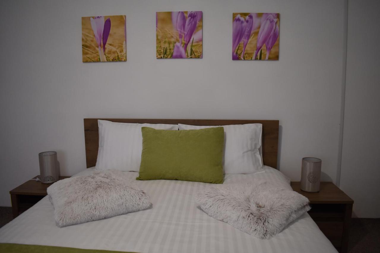 Apartament Zimbru Клуж-Напока Екстериор снимка